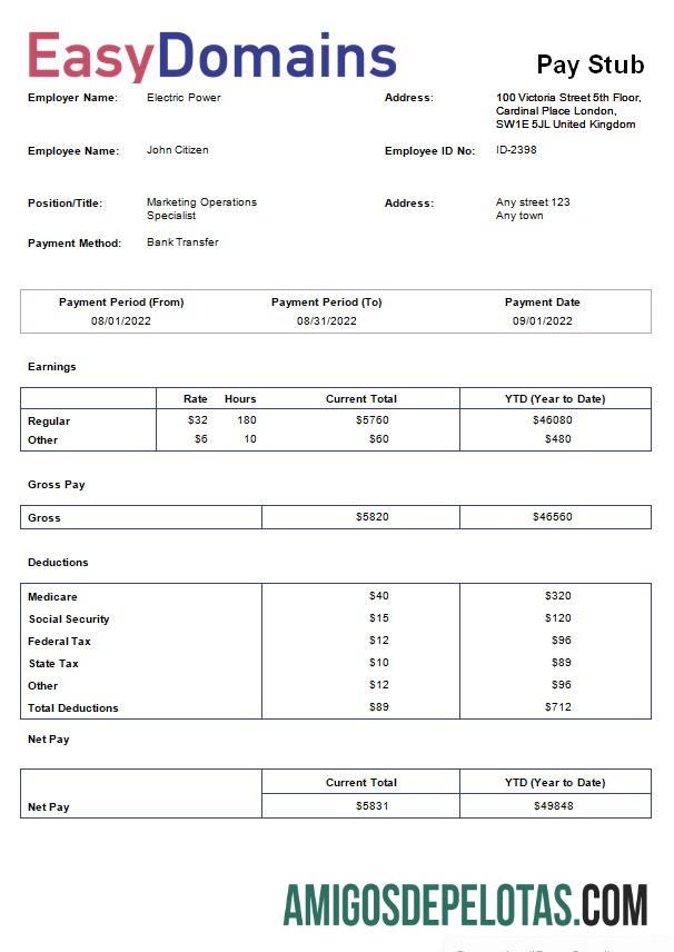 Imprimível Modelo de recibo de pagamento de empresa de registro de nome de domínio em formatos Word e PDF